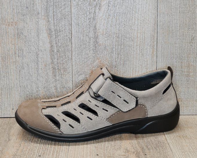 Rohde_1235_Gris